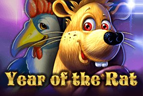 Year of the Rat