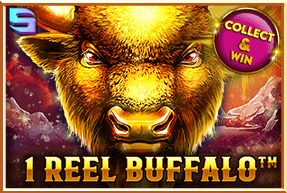 1 Reel Buffalo