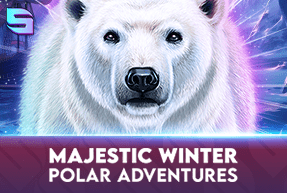 Majestic Winter - Polar Adventures