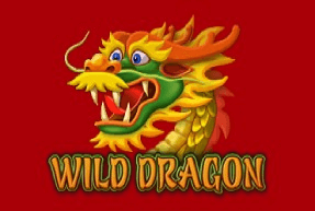 Wild Dragon