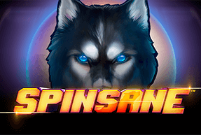 Spinsane 